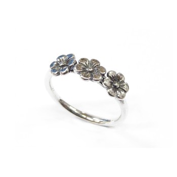 Rings: R02717